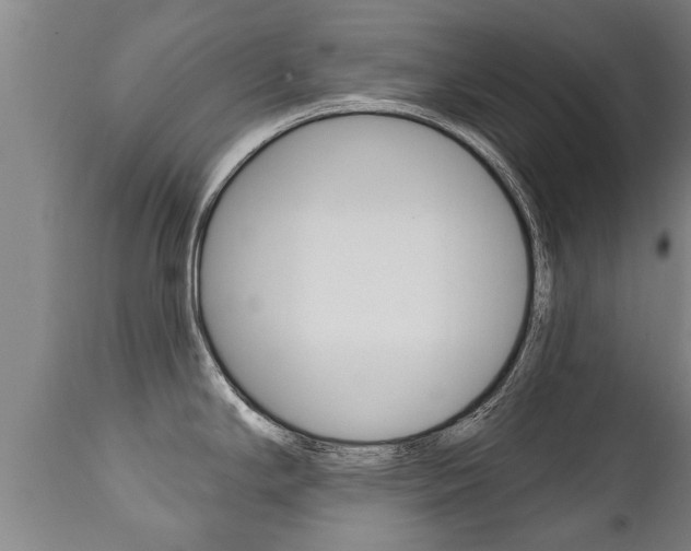 X0000111911294200907271026