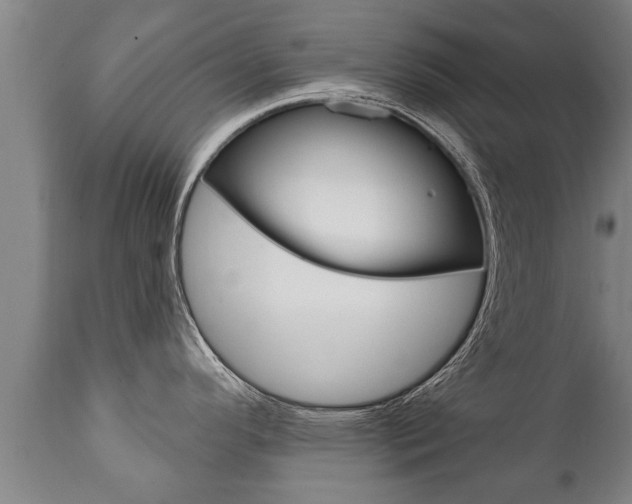 X0000111911296200907271026