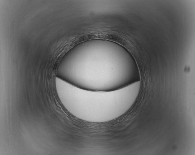 X0000111911298200907271025