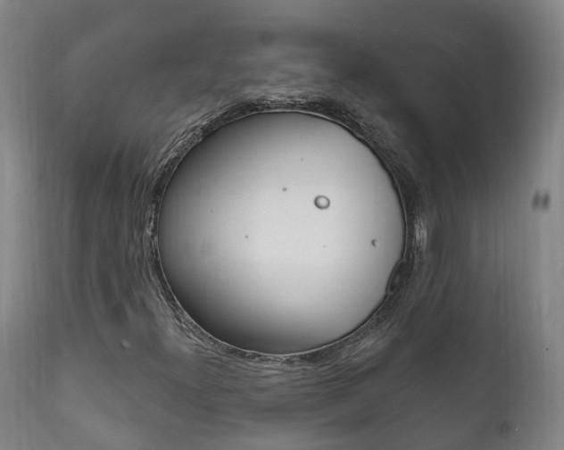 X0000111911300200907271025