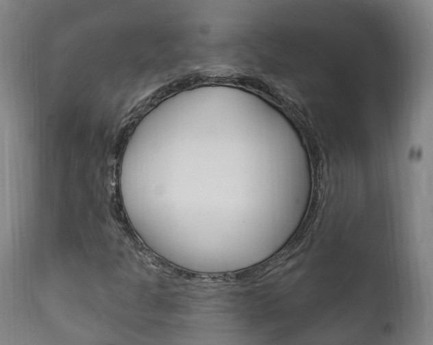 X0000111911301200907271025