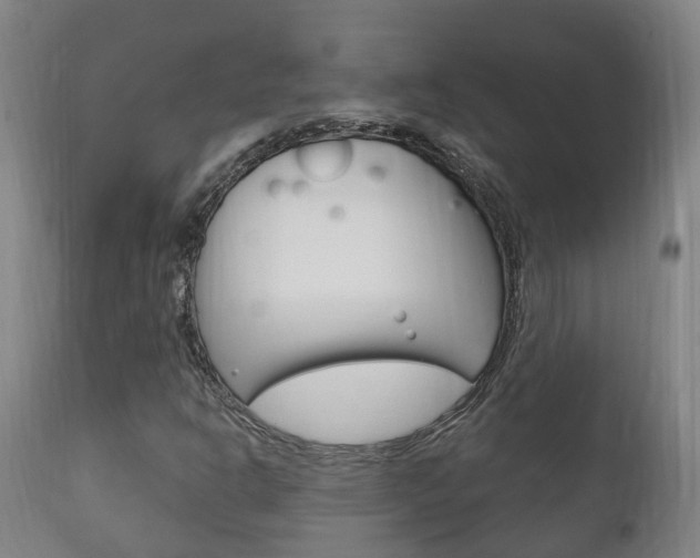X0000111911302200907271025