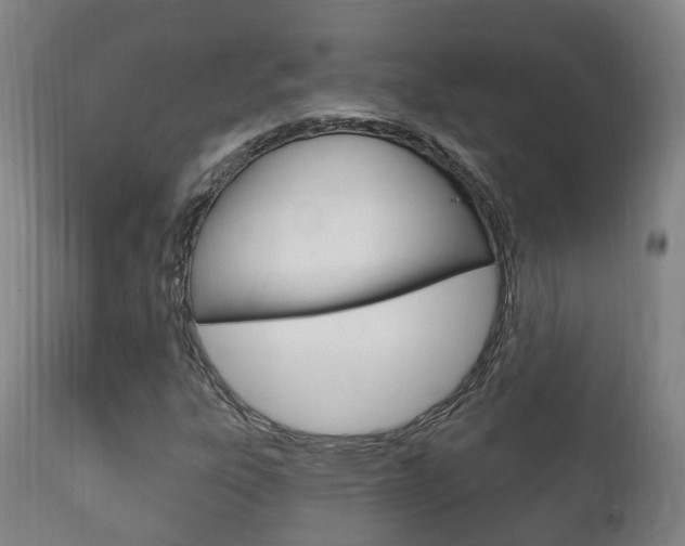 X0000111911303200907271025
