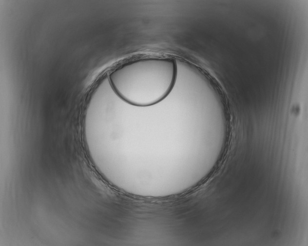 X0000111911304200907271025