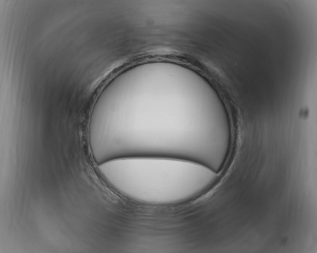 X0000111911305200907271025