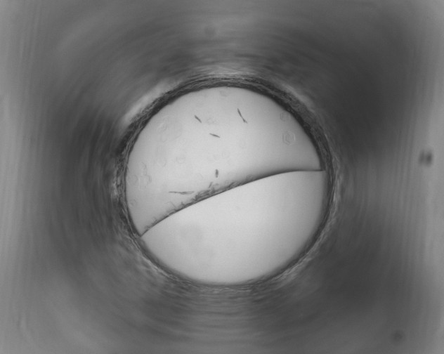 X0000111911306200907271025