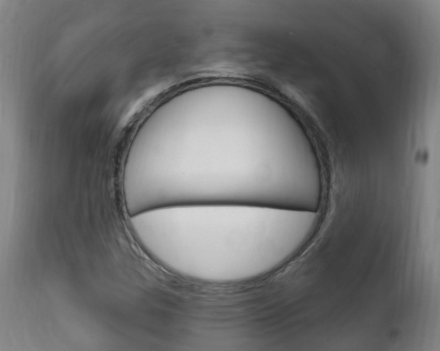X0000111911307200907271025
