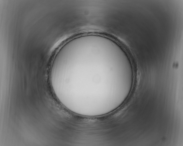 X0000111911309200907271025