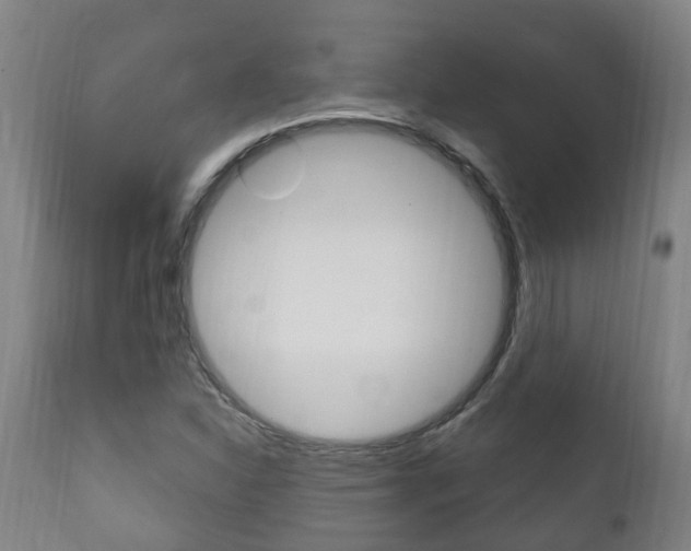 X0000111911310200907271025