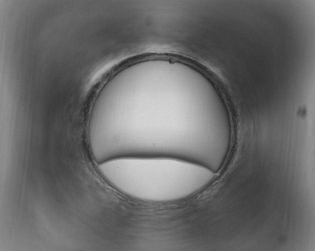 X0000111911311200907271025