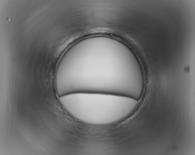 X0000111911313200907271025