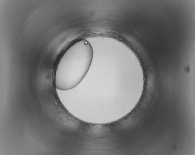 X0000111911314200907271025