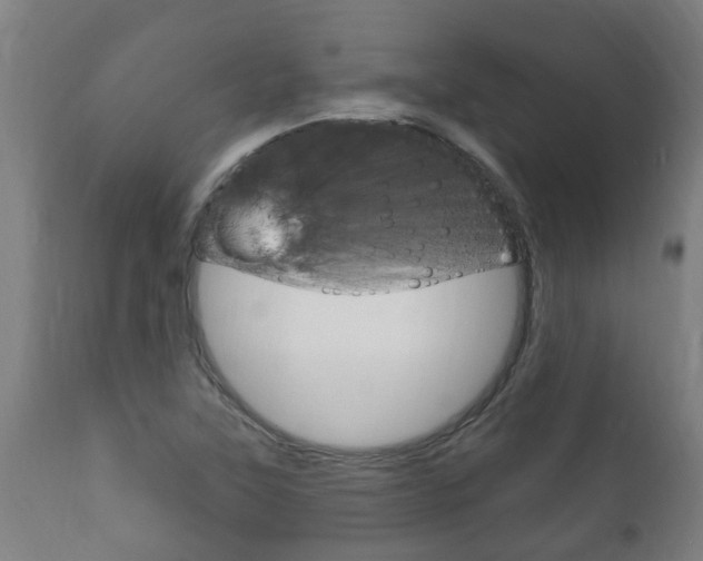 X0000111911315200907271025