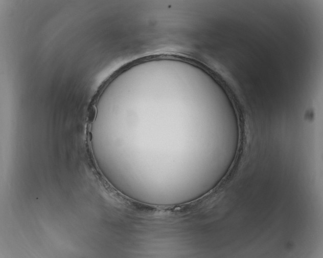 X0000111911316200907271025