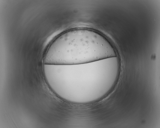 X0000111911317200907271025
