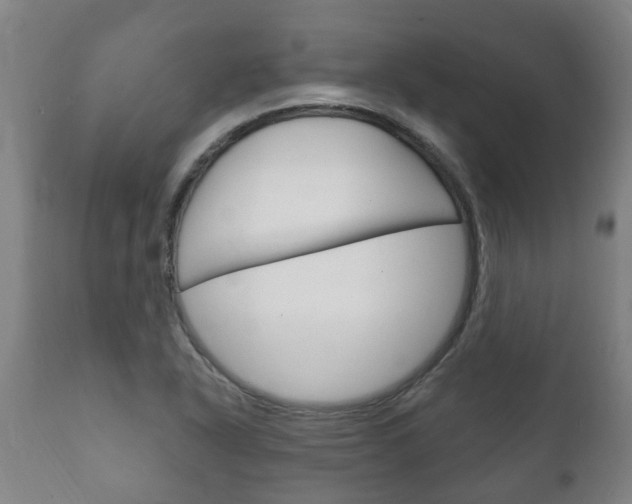 X0000111911318200907271025