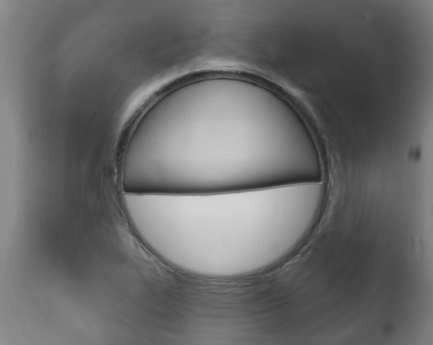 X0000111911319200907271025