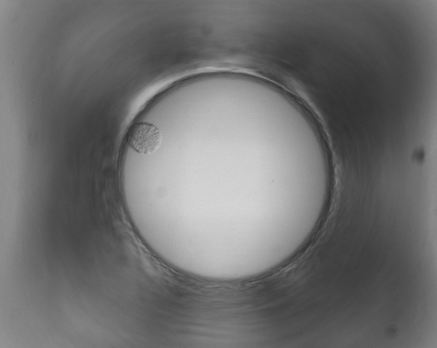 X0000111911320200907271025