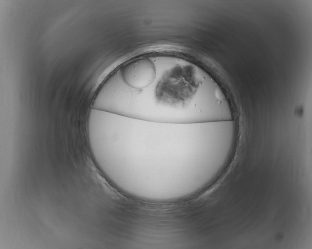 X0000111911321200907271025