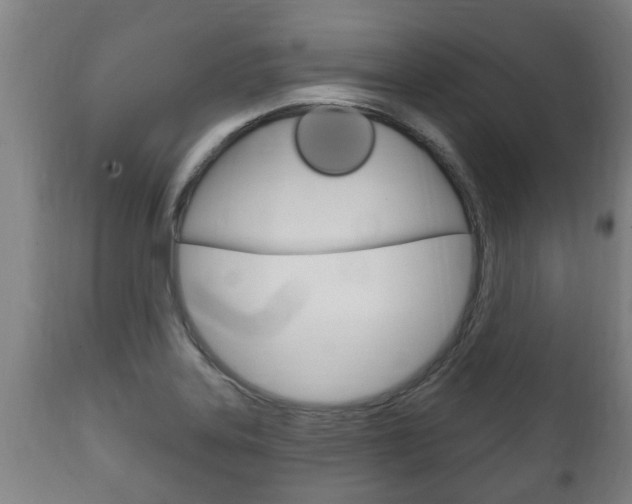X0000111911323200907271025