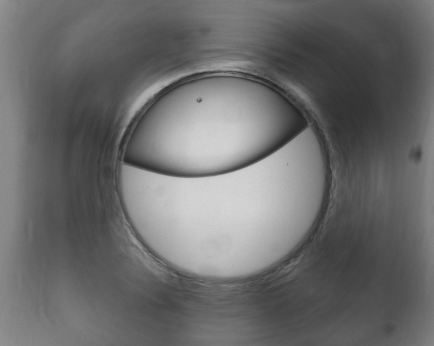 X0000111911324200907271025