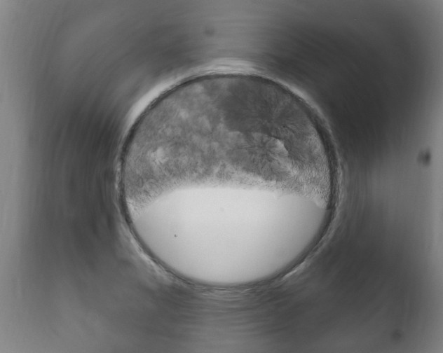X0000111911325200907271025