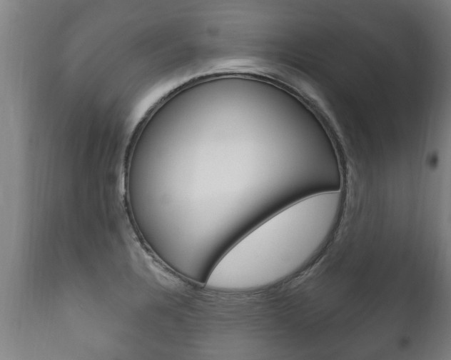 X0000111911328200907271025