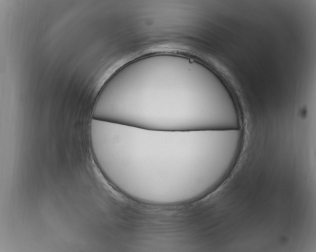 X0000111911329200907271026