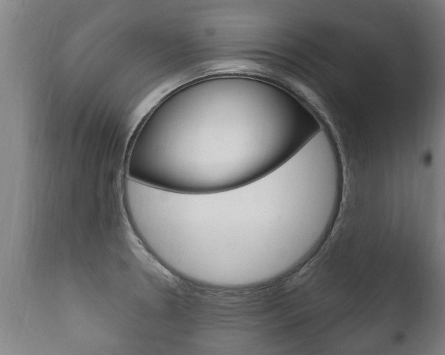X0000111911330200907271026