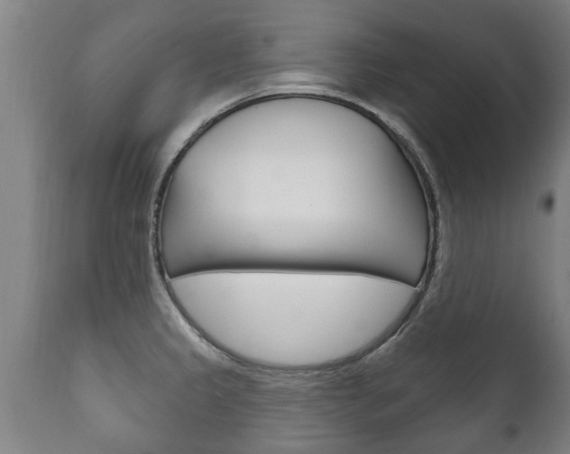 X0000111911333200907271026