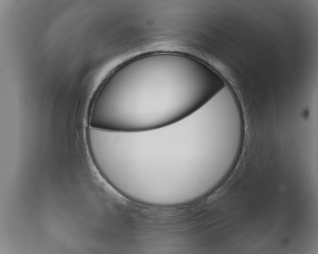 X0000111911334200907271026