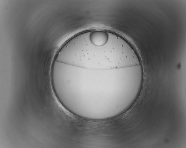 X0000111911335200907271026