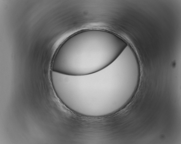 X0000111911336200907271026