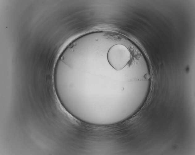 X0000111911339200907271026