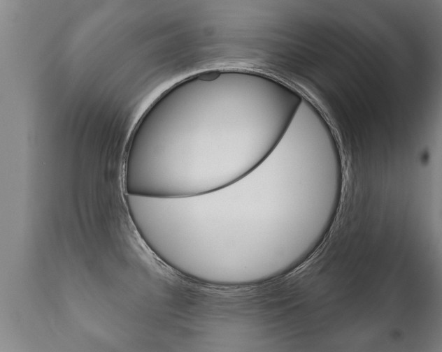 X0000111911340200907271026