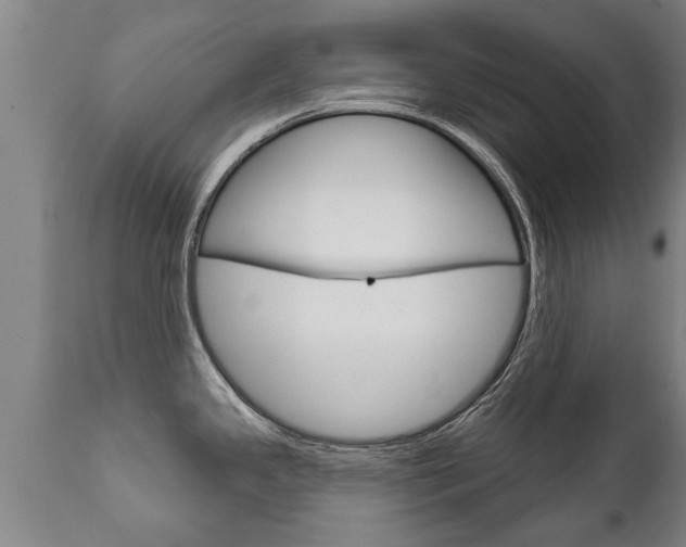 X0000111911341200907271026