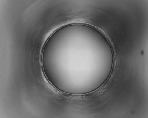 X0000111911342200907271026
