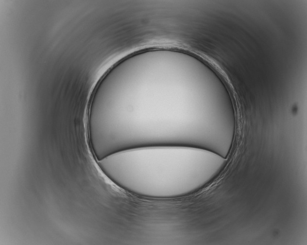 X0000111911343200907271026