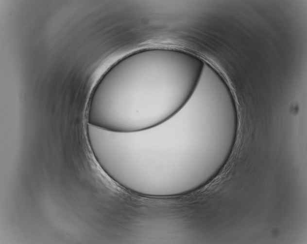 X0000111911344200907271026