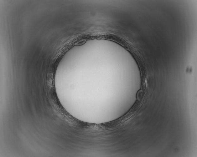 X0000111911348200907271025