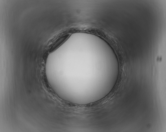 X0000111911349200907271025
