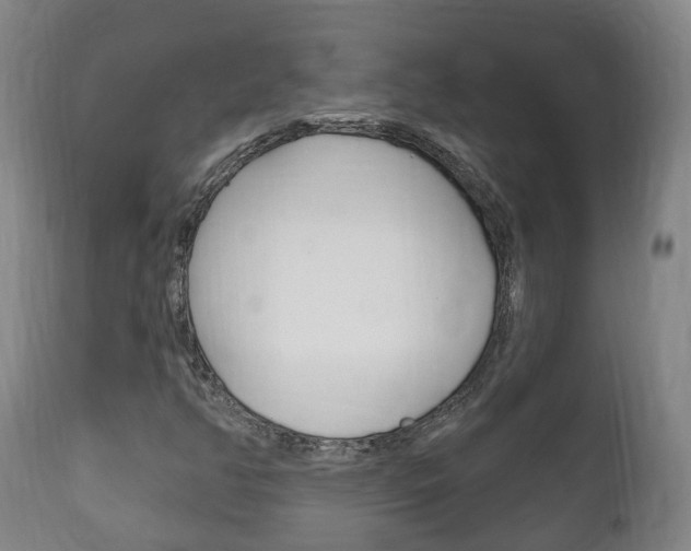X0000111911350200907271025