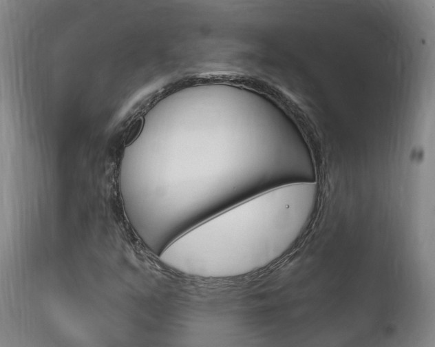 X0000111911351200907271025