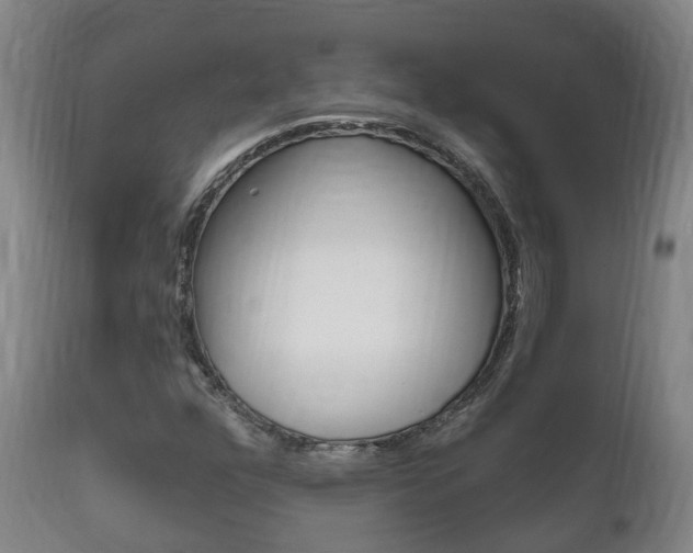 X0000111911352200907271025