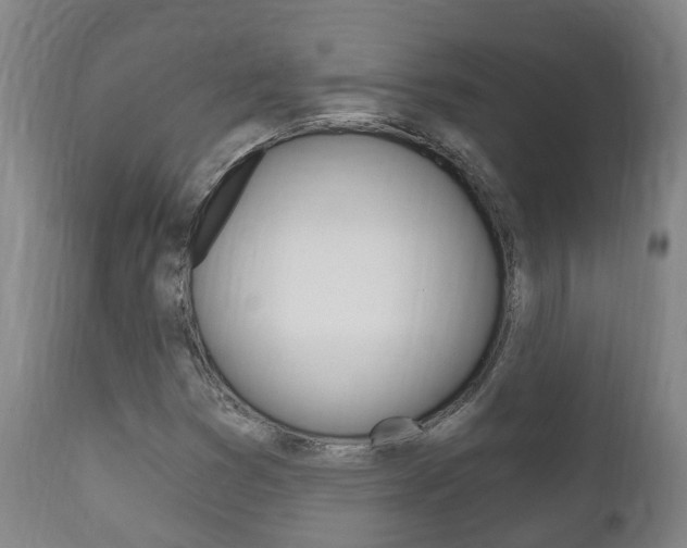 X0000111911353200907271025