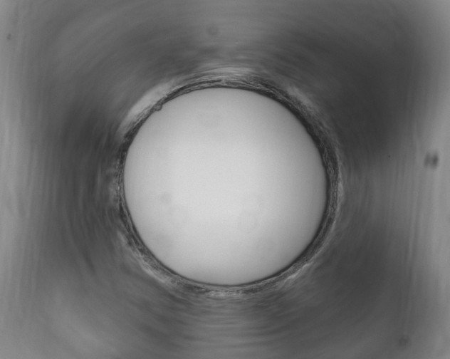 X0000111911354200907271025