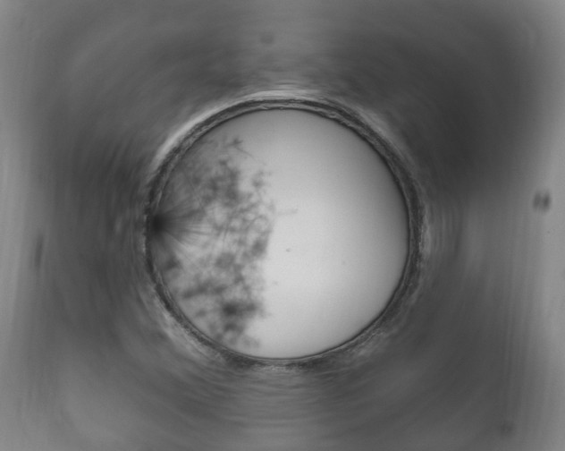 X0000111911356200907271025