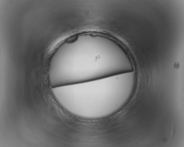 X0000111911359200907271025