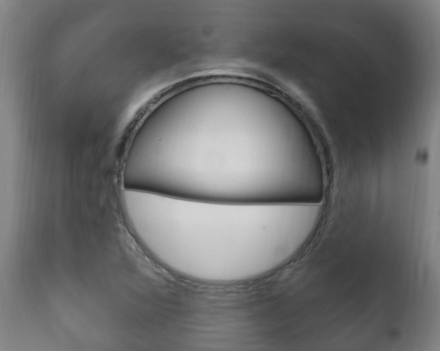 X0000111911360200907271025