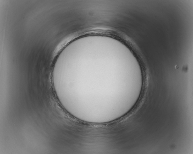 X0000111911362200907271025